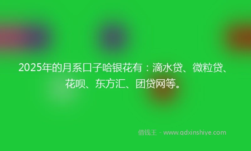 2025年的月系口子哈银花有：滴水贷、微粒贷、花呗、东方汇、团贷网等。
