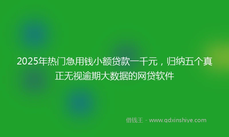 2025年热门急用钱小额贷款一千元，归纳五个真正无视逾期大数据的网贷软件