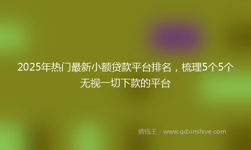 2025年热门最新小额贷款平台排名，梳理5个5个无视一切下款的平台