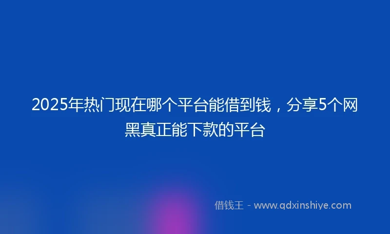 2025年热门现在哪个平台能借到钱，分享5个网黑真正能下款的平台