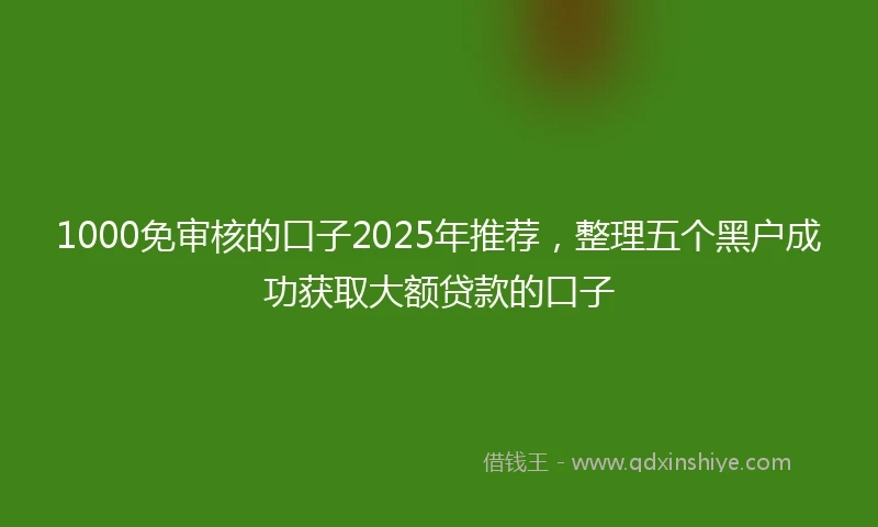 1000免审核的口子2025年推荐，整理五个黑户成功获取大额贷款的口子