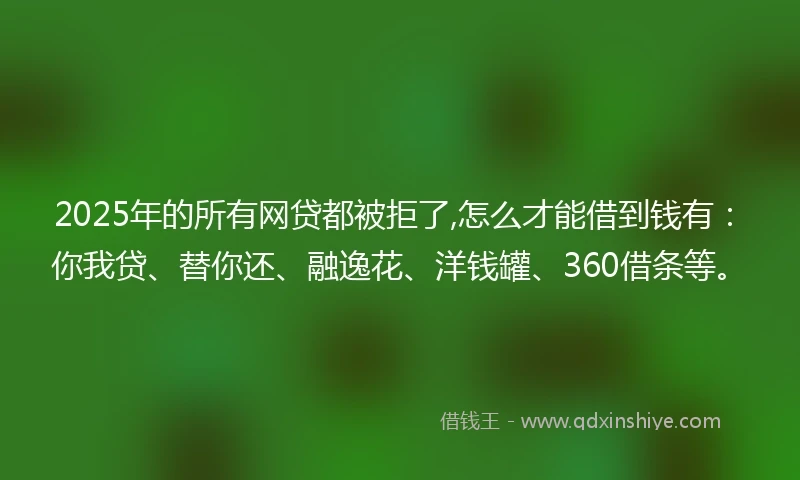 2025年的所有网贷都被拒了,怎么才能借到钱有：你我贷、替你还、融逸花、洋钱罐、360借条等。