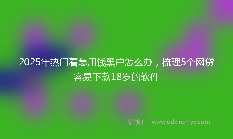 2025年热门着急用钱黑户怎么办，梳理5个网贷容易下款18岁的软件