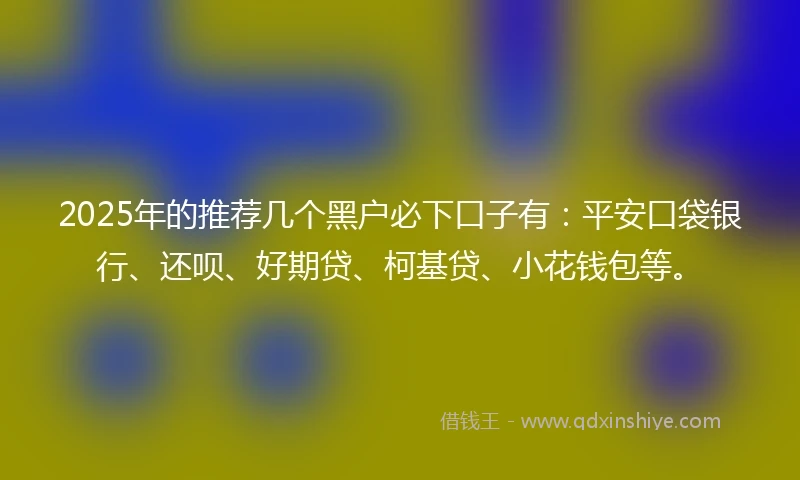 2025年的推荐几个黑户必下口子有：平安口袋银行、还呗、好期贷、柯基贷、小花钱包等。