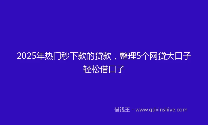 2025年热门秒下款的贷款，整理5个网贷大口子轻松借口子