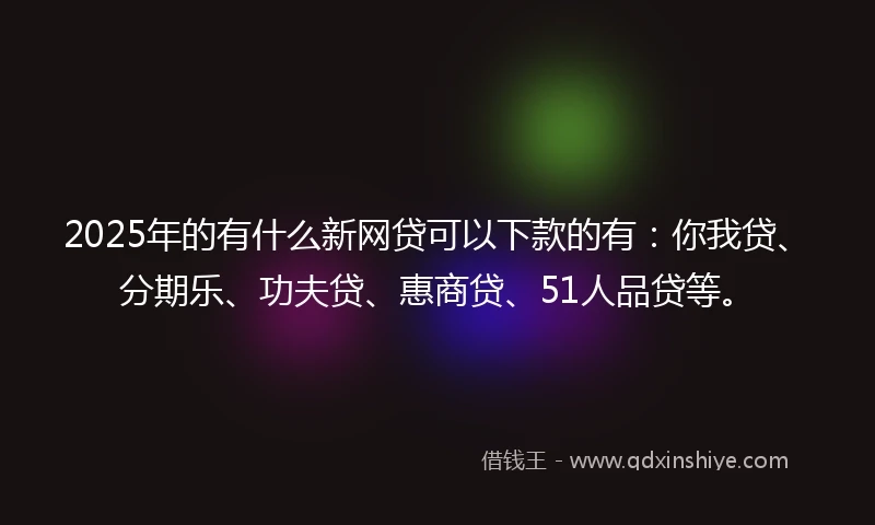 2025年的有什么新网贷可以下款的有：你我贷、分期乐、功夫贷、惠商贷、51人品贷等。