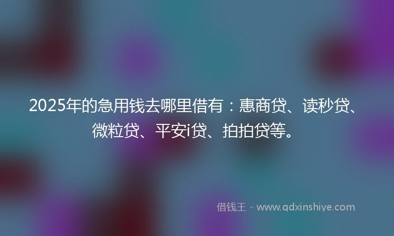 2025年的急用钱去哪里借有：惠商贷、读秒贷、微粒贷、平安i贷、拍拍贷等。