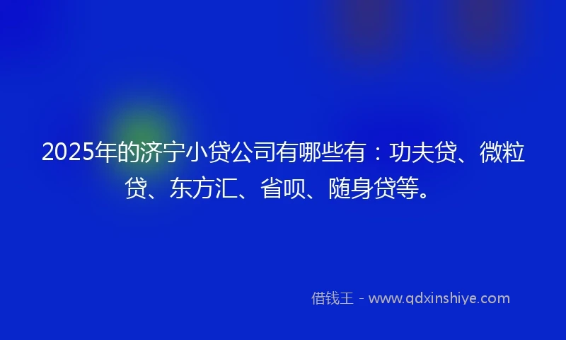 2025年的济宁小贷公司有哪些有：功夫贷、微粒贷、东方汇、省呗、随身贷等。