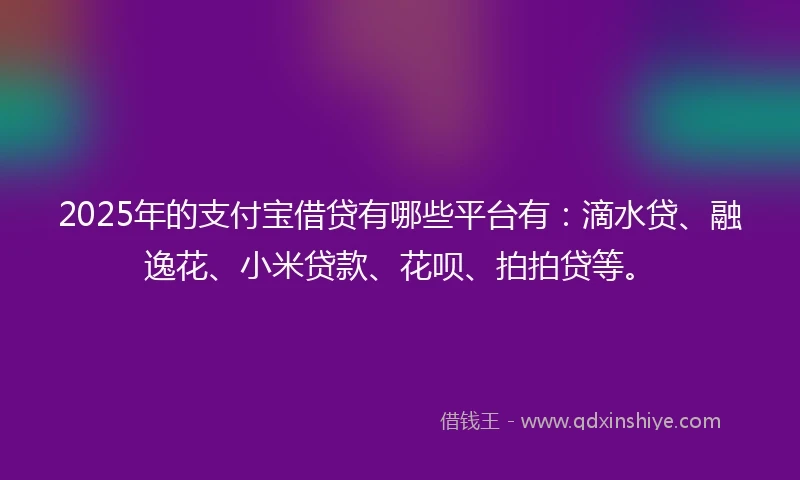 2025年的支付宝借贷有哪些平台有：滴水贷、融逸花、小米贷款、花呗、拍拍贷等。