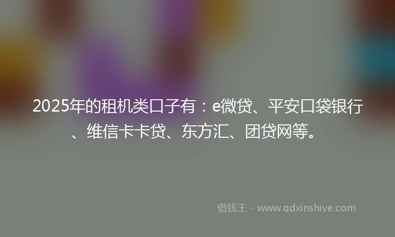 2025年的租机类口子有：e微贷、平安口袋银行、维信卡卡贷、东方汇、团贷网等。