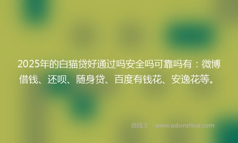 2025年的白猫贷好通过吗安全吗可靠吗有：微博借钱、还呗、随身贷、百度有钱花、安逸花等。