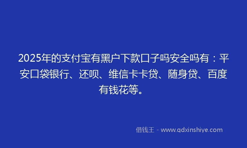2025年的支付宝有黑户下款口子吗安全吗有：平安口袋银行、还呗、维信卡卡贷、随身贷、百度有钱花等。