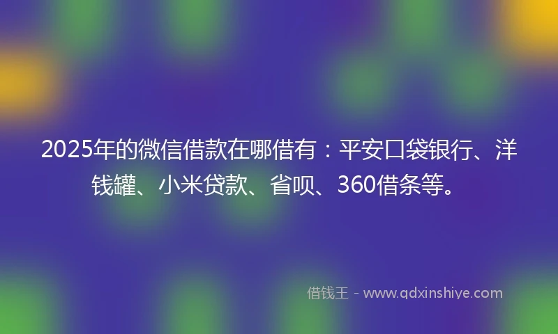 2025年的微信借款在哪借有：平安口袋银行、洋钱罐、小米贷款、省呗、360借条等。