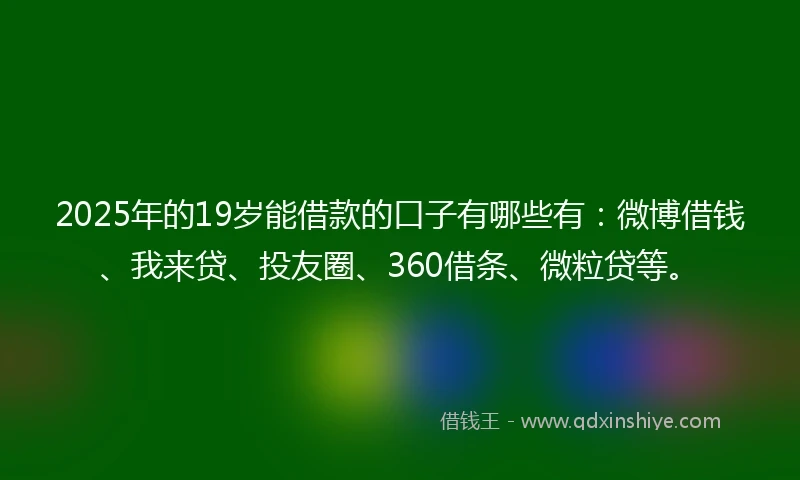 2025年的19岁能借款的口子有哪些有：微博借钱、我来贷、投友圈、360借条、微粒贷等。