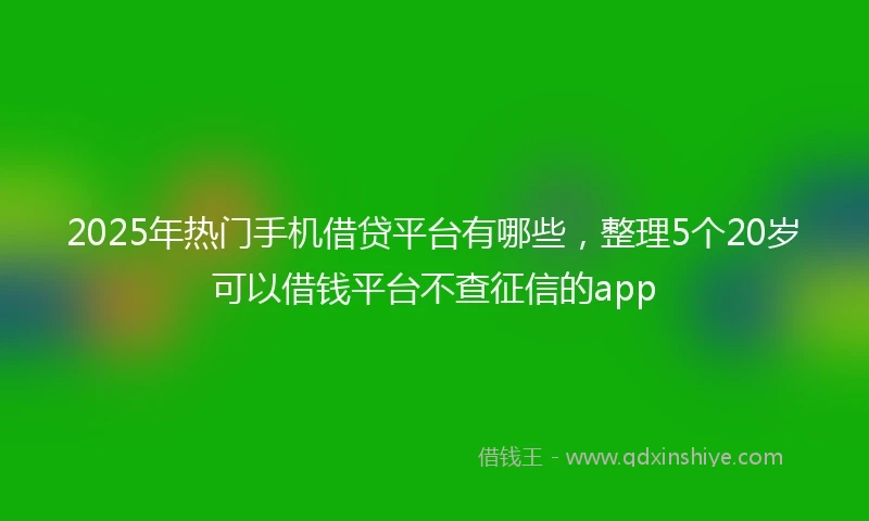 2025年热门手机借贷平台有哪些，整理5个20岁可以借钱平台不查征信的app