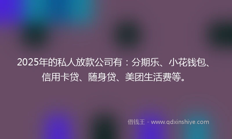 2025年的私人放款公司有：分期乐、小花钱包、信用卡贷、随身贷、美团生活费等。