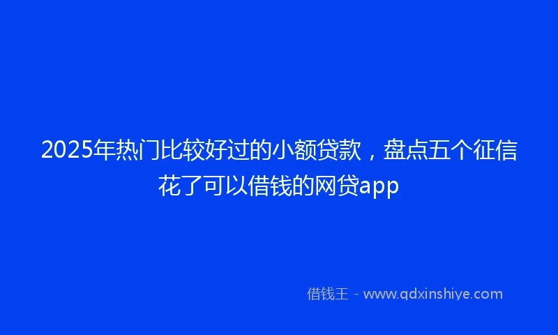 2025年热门比较好过的小额贷款，盘点五个征信花了可以借钱的网贷app