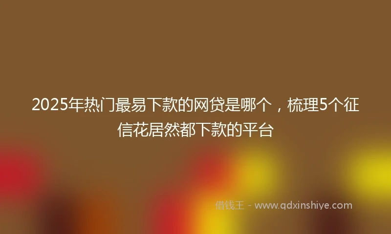 2025年热门最易下款的网贷是哪个，梳理5个征信花居然都下款的平台