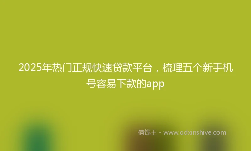 2025年热门正规快速贷款平台，梳理五个新手机号容易下款的app