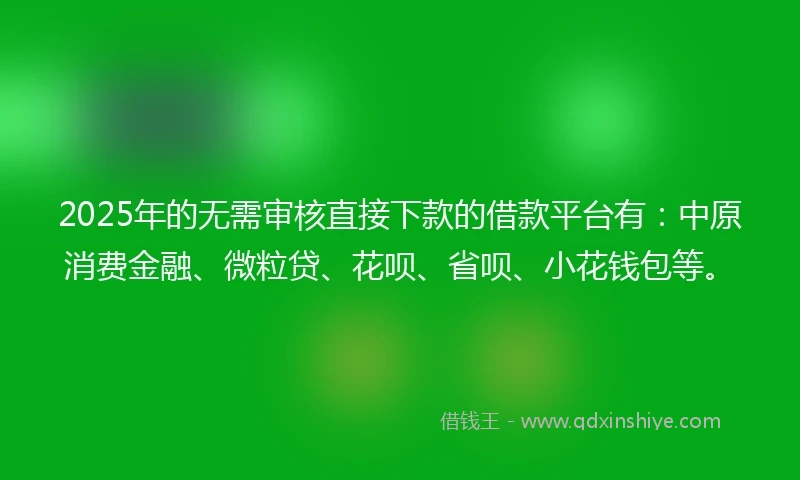 2025年的无需审核直接下款的借款平台有：中原消费金融、微粒贷、花呗、省呗、小花钱包等。