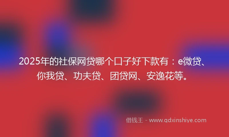 2025年的社保网贷哪个口子好下款有：e微贷、你我贷、功夫贷、团贷网、安逸花等。