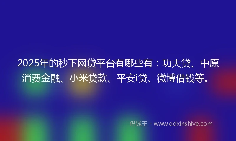 2025年的秒下网贷平台有哪些有：功夫贷、中原消费金融、小米贷款、平安i贷、微博借钱等。