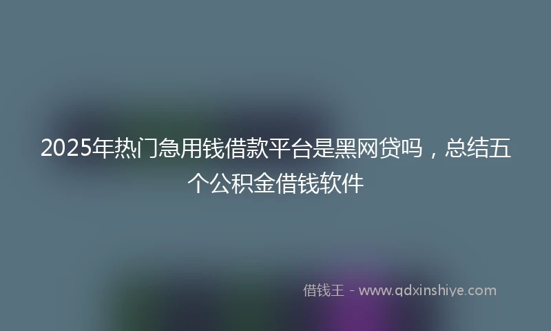 2025年热门急用钱借款平台是黑网贷吗，总结五个公积金借钱软件