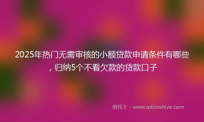 2025年热门无需审核的小额贷款申请条件有哪些，归纳5个不看欠款的贷款口子