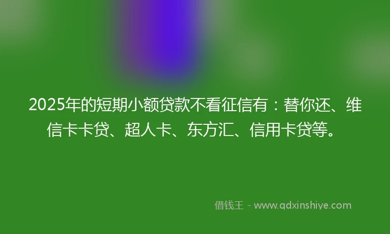 2025年的短期小额贷款不看征信有：替你还、维信卡卡贷、超人卡、东方汇、信用卡贷等。