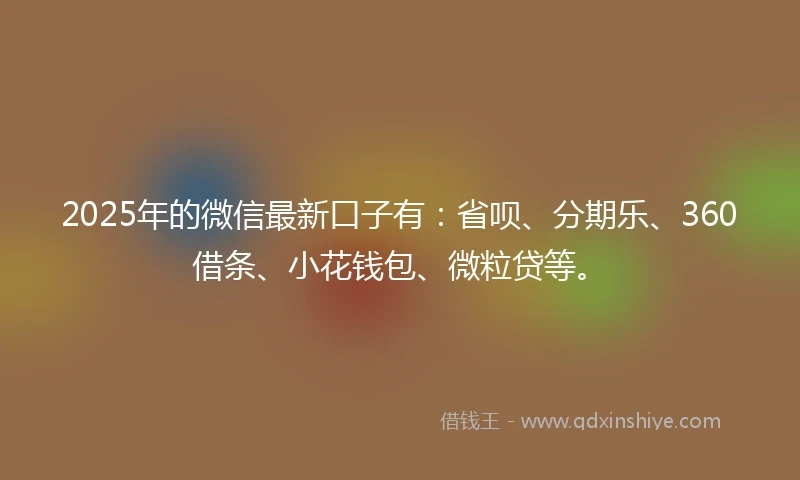 2025年的微信最新口子有：省呗、分期乐、360借条、小花钱包、微粒贷等。