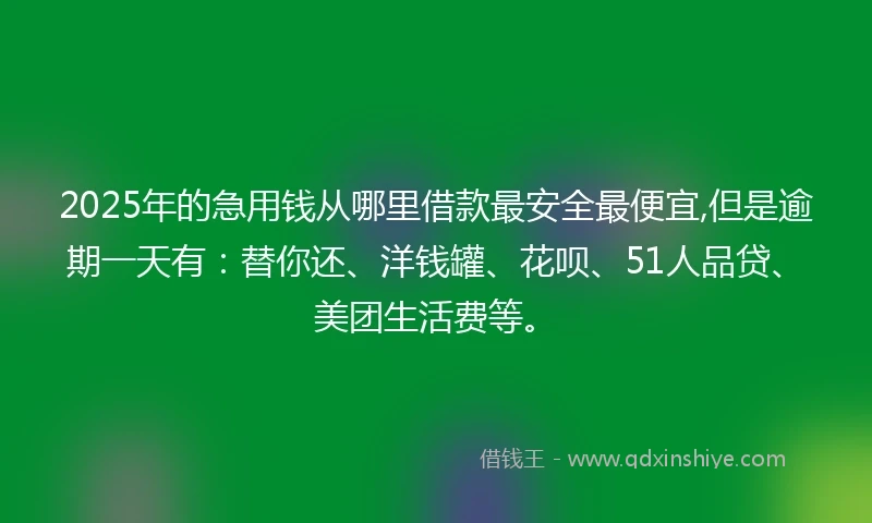 2025年的急用钱从哪里借款最安全最便宜,但是逾期一天有：替你还、洋钱罐、花呗、51人品贷、美团生活费等。
