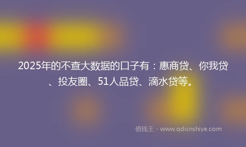 2025年的不查大数据的口子有：惠商贷、你我贷、投友圈、51人品贷、滴水贷等。