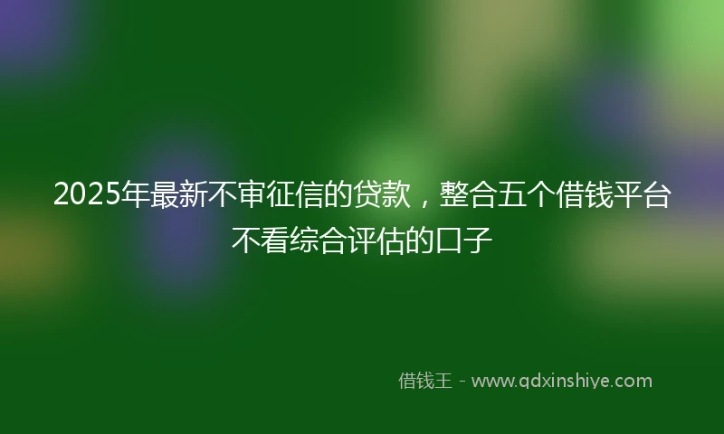 2025年最新不审征信的贷款，整合五个借钱平台不看综合评估的口子