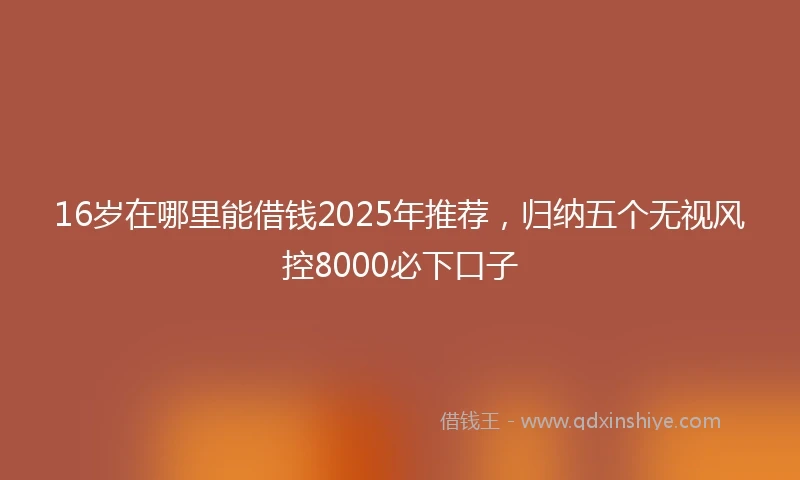 16岁在哪里能借钱2025年推荐，归纳五个无视风控8000必下口子