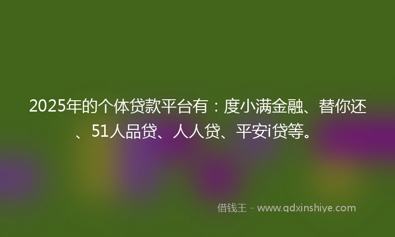 2025年的个体贷款平台有：度小满金融、替你还、51人品贷、人人贷、平安i贷等。