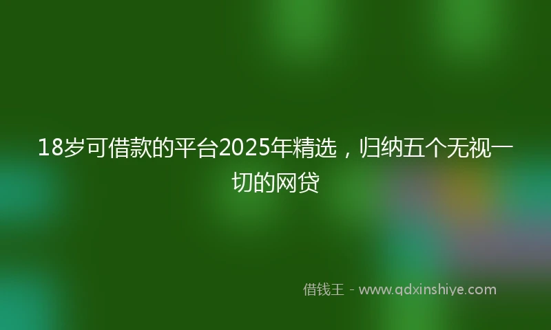 18岁可借款的平台2025年精选，归纳五个无视一切的网贷