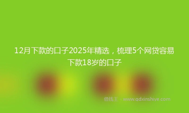 12月下款的口子2025年精选，梳理5个网贷容易下款18岁的口子