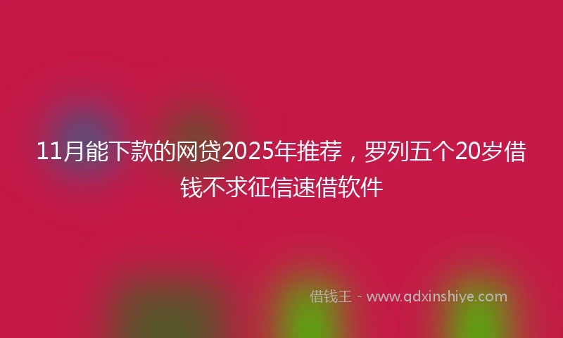 11月能下款的网贷2025年推荐，罗列五个20岁借钱不求征信速借软件