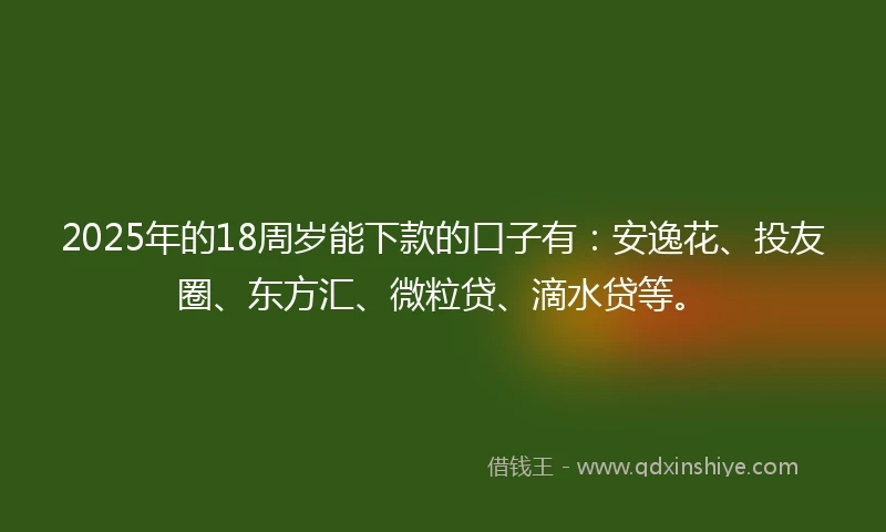 2025年的18周岁能下款的口子有：安逸花、投友圈、东方汇、微粒贷、滴水贷等。