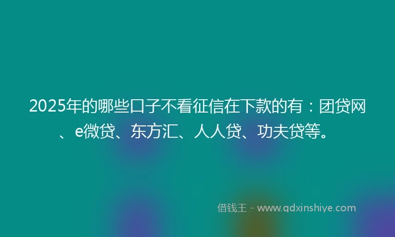 2025年的哪些口子不看征信在下款的有：团贷网、e微贷、东方汇、人人贷、功夫贷等。