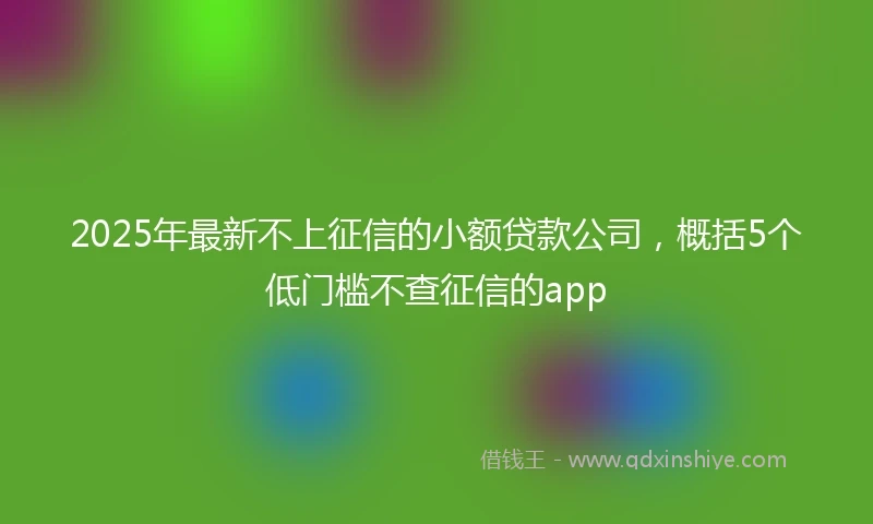 2025年最新不上征信的小额贷款公司，概括5个低门槛不查征信的app