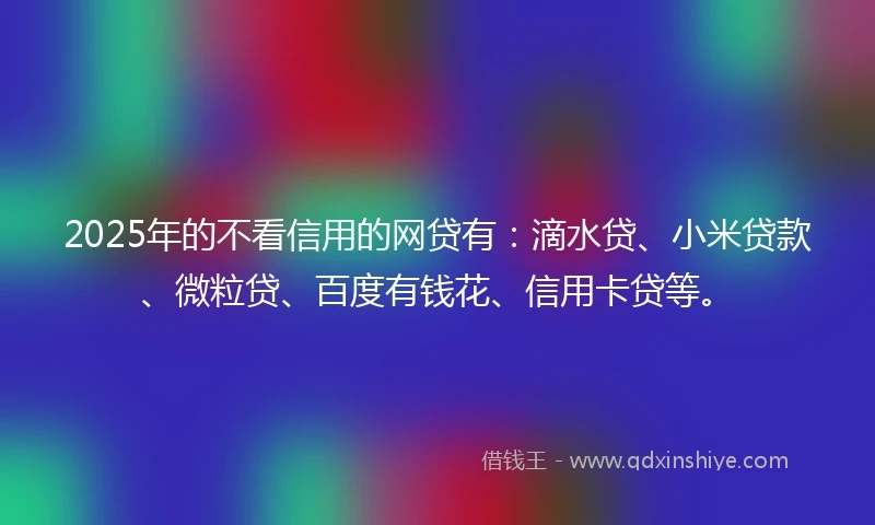 2025年的不看信用的网贷有：滴水贷、小米贷款、微粒贷、百度有钱花、信用卡贷等。