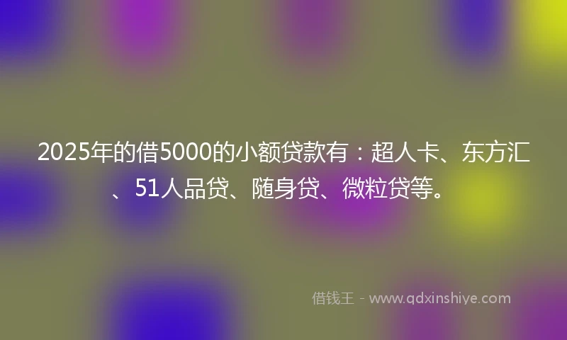 2025年的借5000的小额贷款有：超人卡、东方汇、51人品贷、随身贷、微粒贷等。
