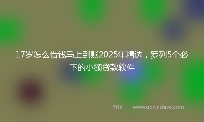 17岁怎么借钱马上到账2025年精选，罗列5个必下的小额贷款软件