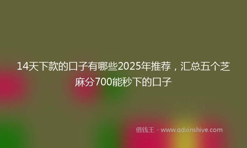 14天下款的口子有哪些2025年推荐，汇总五个芝麻分700能秒下的口子