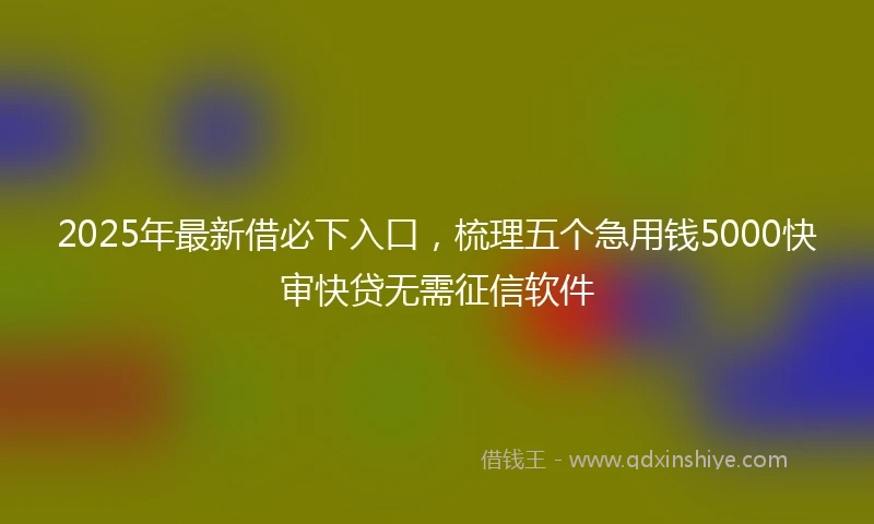 2025年最新借必下入口，梳理五个急用钱5000快审快贷无需征信软件