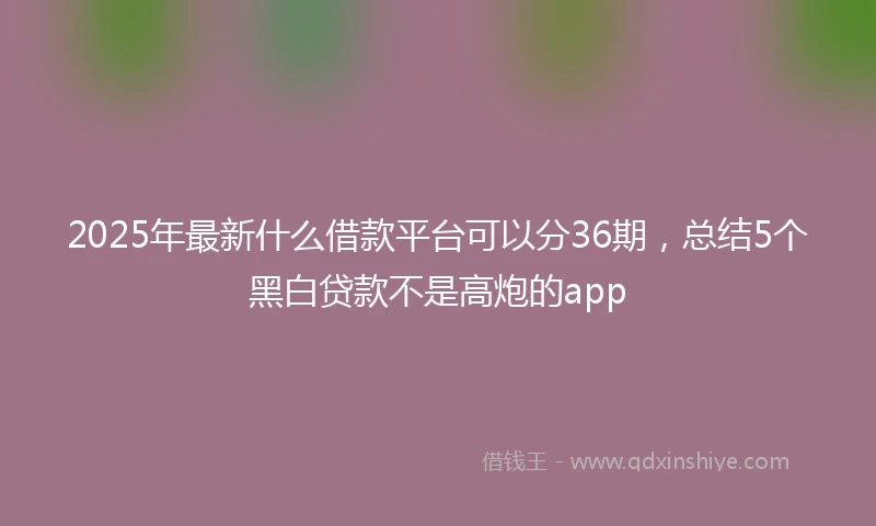 2025年最新什么借款平台可以分36期，总结5个黑白贷款不是高炮的app