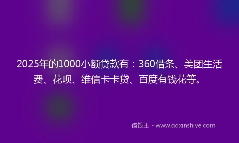 2025年的1000小额贷款有：360借条、美团生活费、花呗、维信卡卡贷、百度有钱花等。