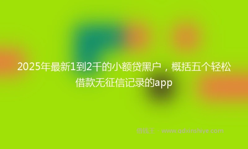 2025年最新1到2千的小额贷黑户，概括五个轻松借款无征信记录的app
