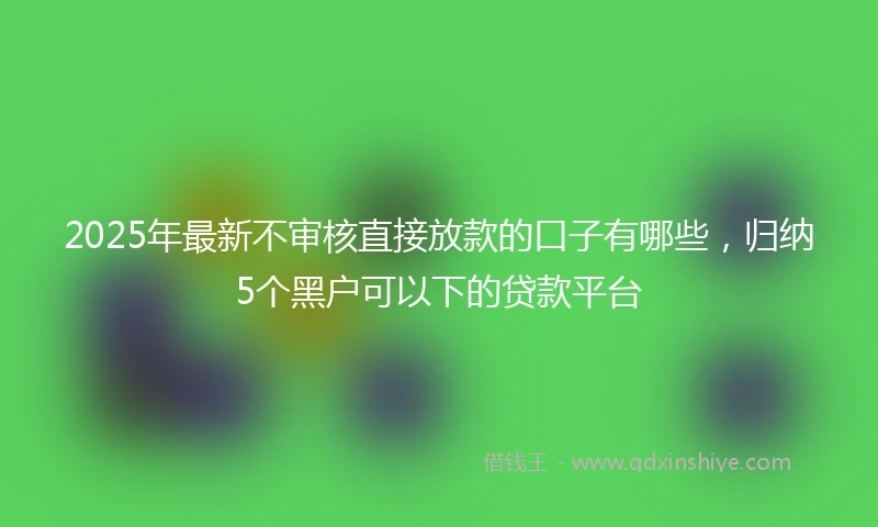 2025年最新不审核直接放款的口子有哪些，归纳5个黑户可以下的贷款平台